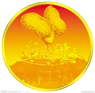 賣油翁家用榨油機榨出的花生油